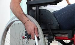 Suspendisse arcu nisl